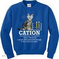 Cation Funny Chemistry Humor Science Teacher Cat Pun Kids Sweatshirt thumb 0