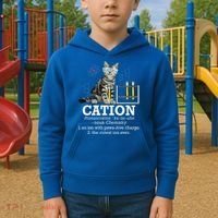Cation Funny Chemistry Humor Science Teacher Cat Pun Kids Hoodie thumb 2