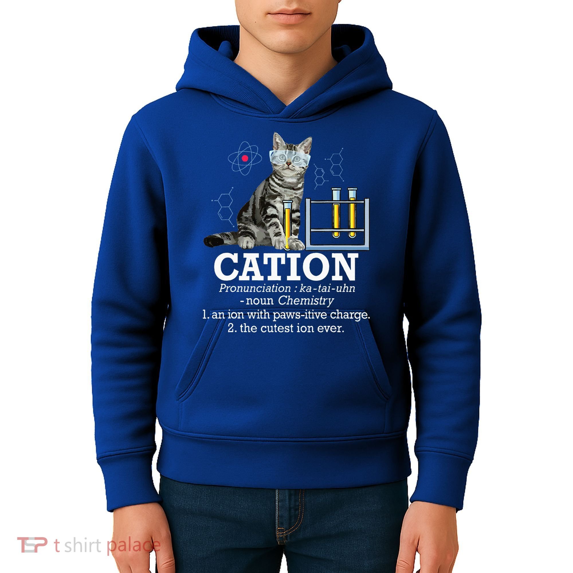Cation Funny Chemistry Humor Science Teacher Cat Pun Kids Hoodie