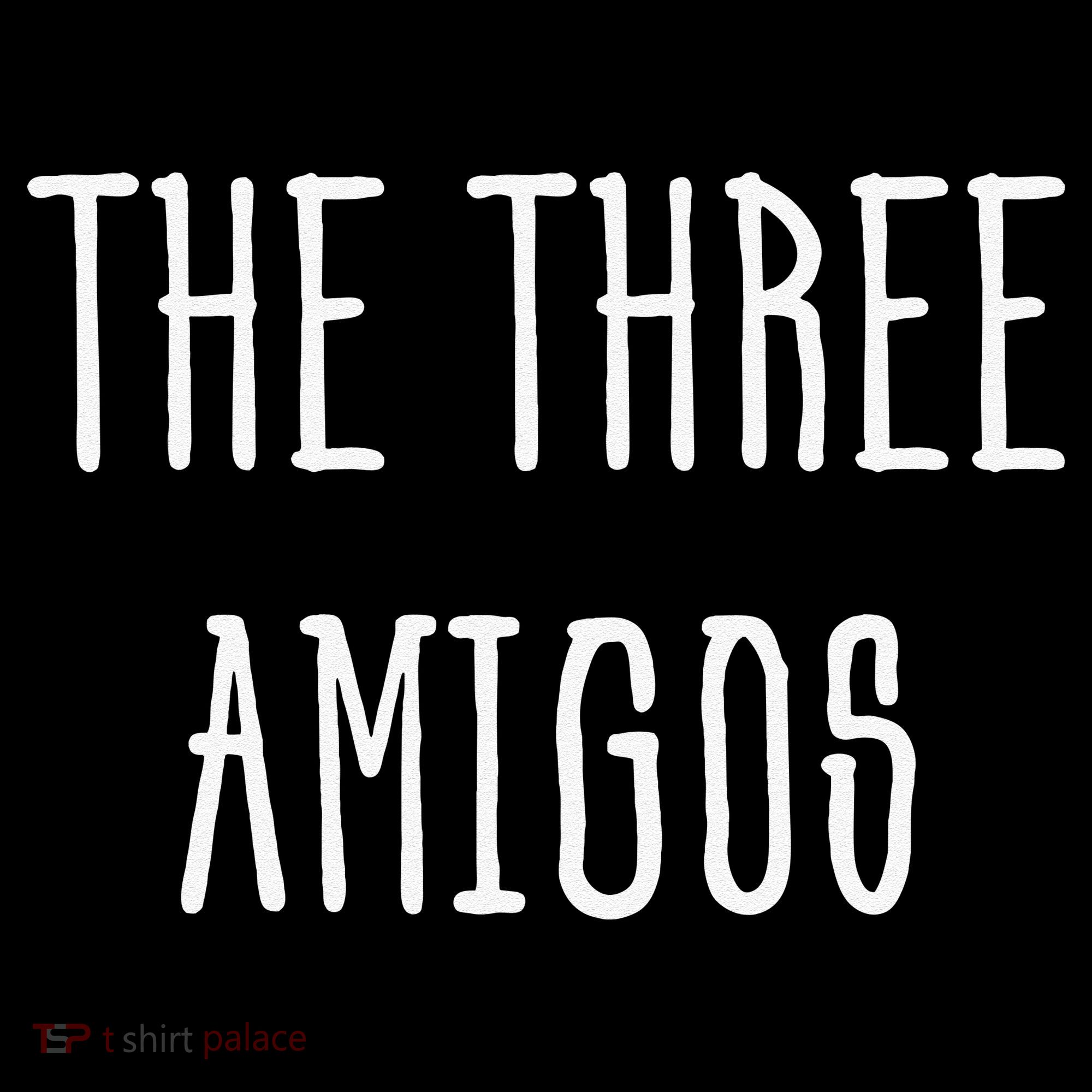 Cute Funny Cinco De Mayo The Three Amigos Gift Coaster