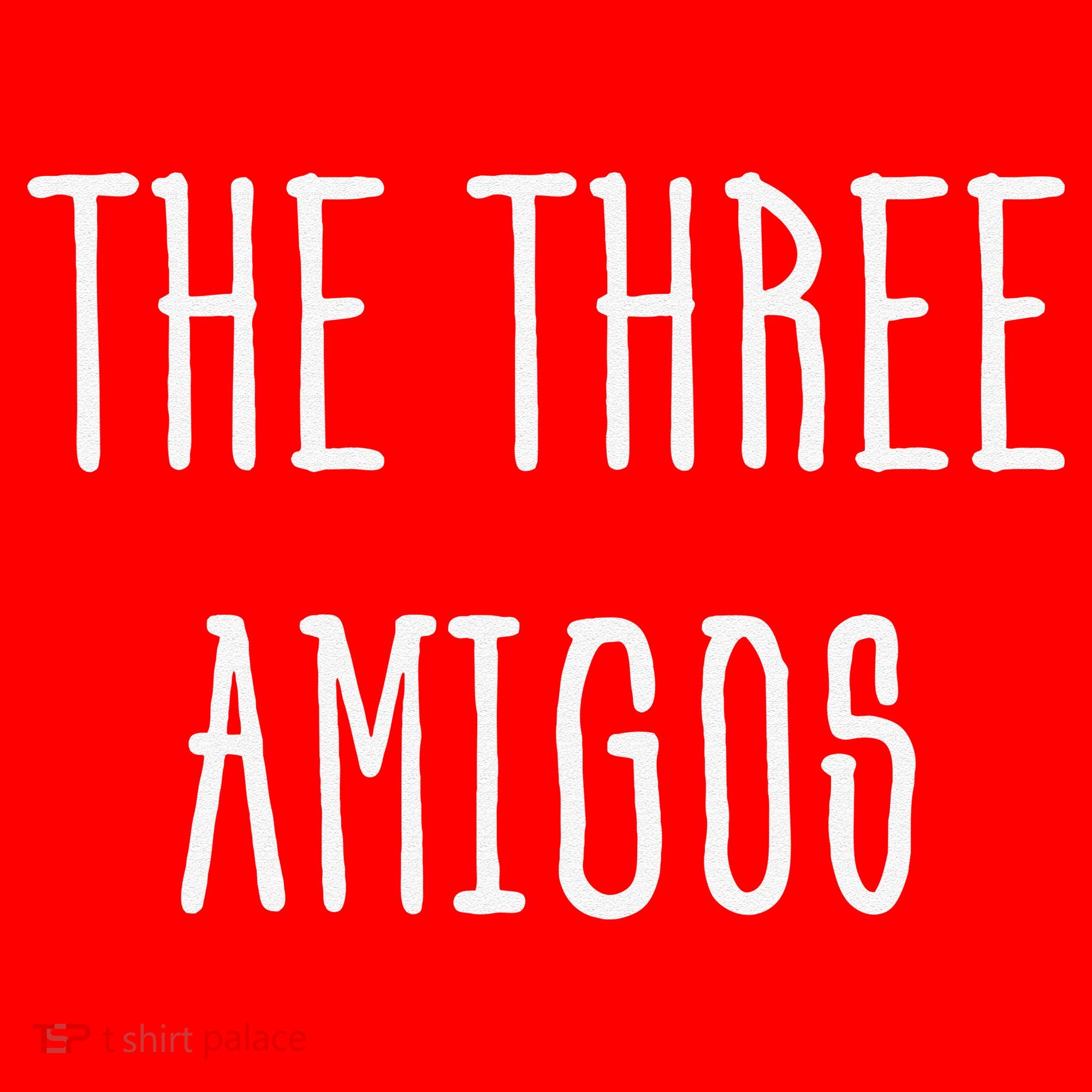 Cute Funny Cinco De Mayo The Three Amigos Gift Santa Hat