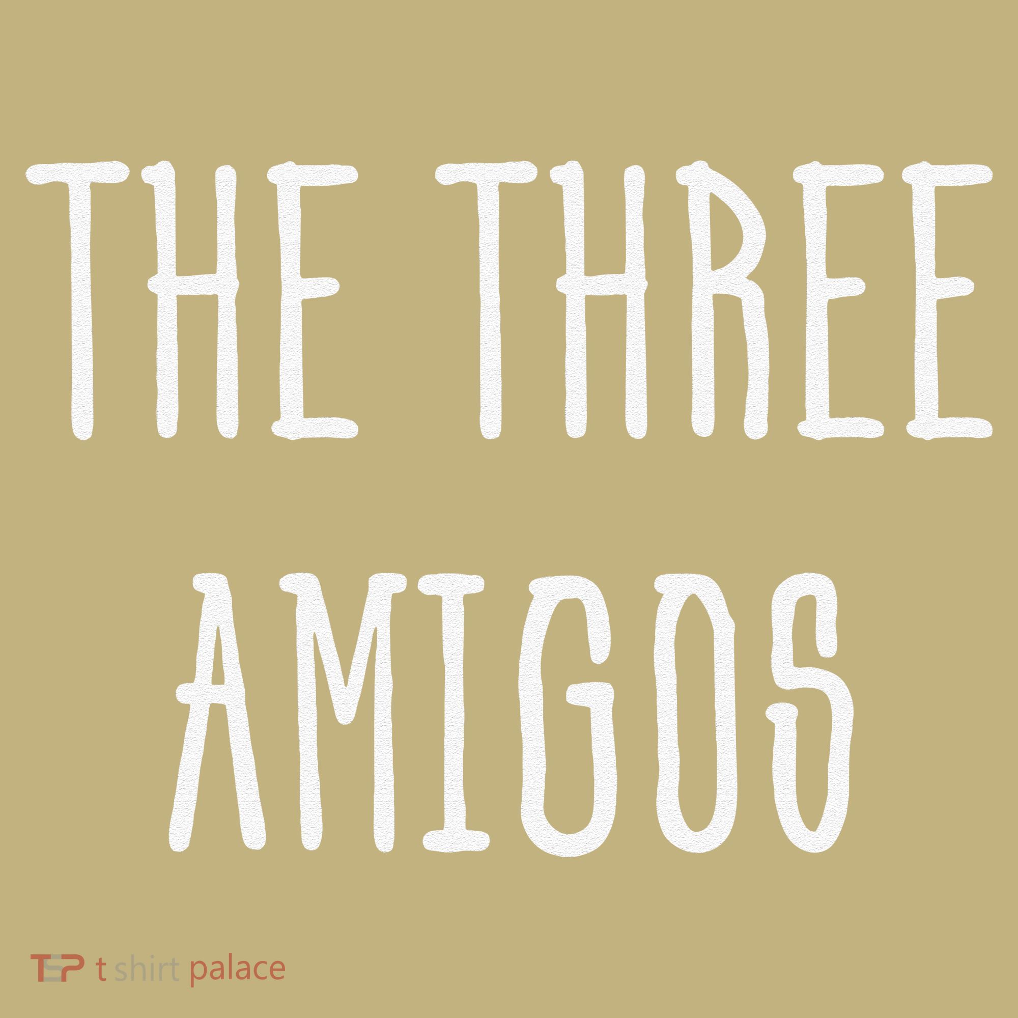 Cute Funny Cinco De Mayo The Three Amigos Gift Sweatshirt