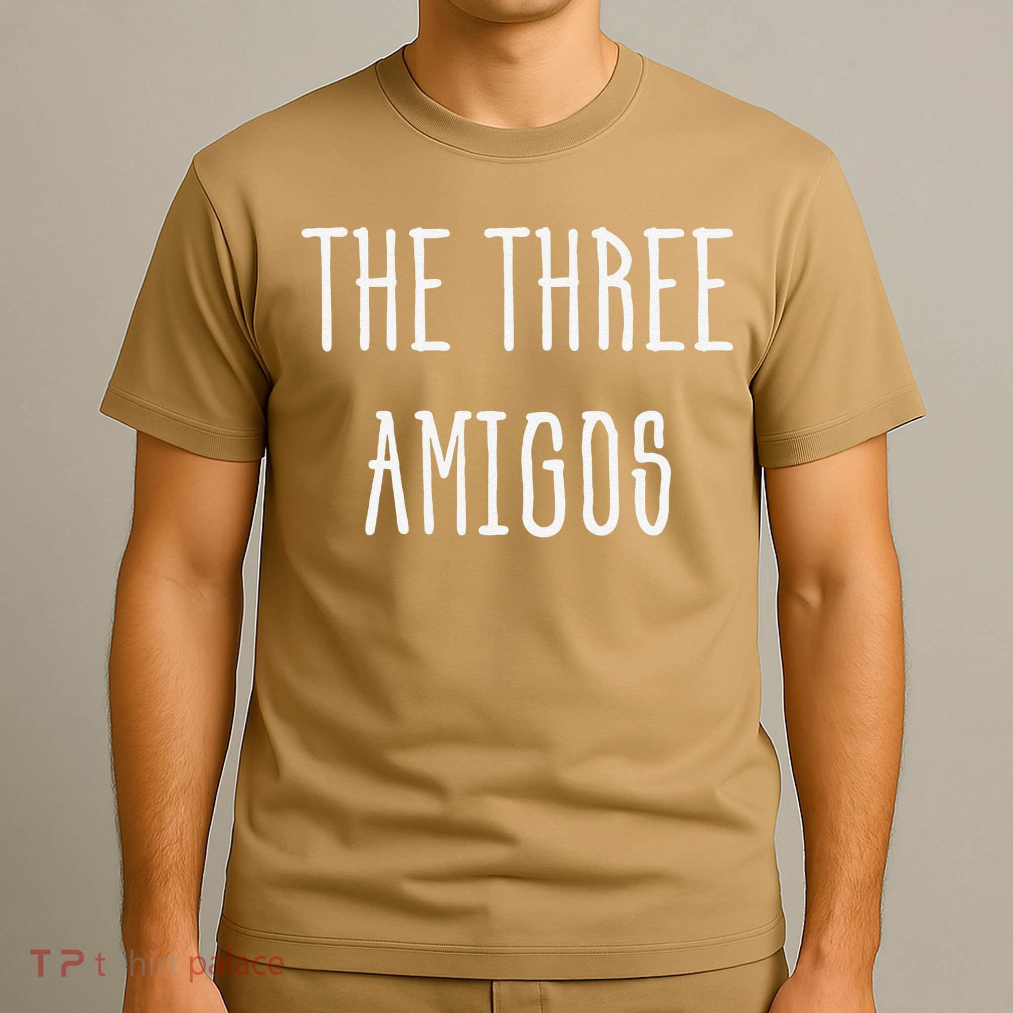 Cute Funny Cinco De Mayo The Three Amigos Gift T-Shirt