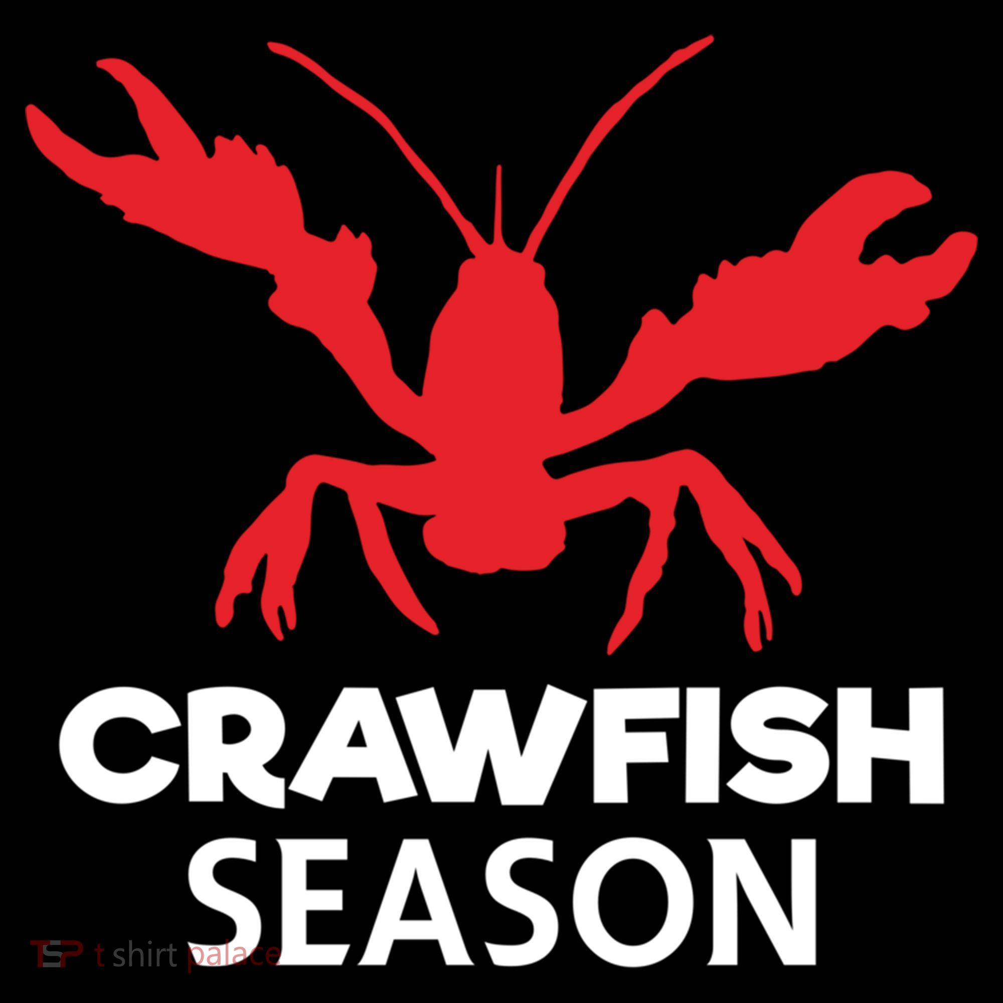 Crawdad Funny Crawfish Boil Season Crayfish Gift Women's Hoodie