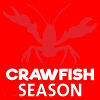 Crawdad Funny Crawfish Boil Season Crayfish Gift Santa Hat thumb 1