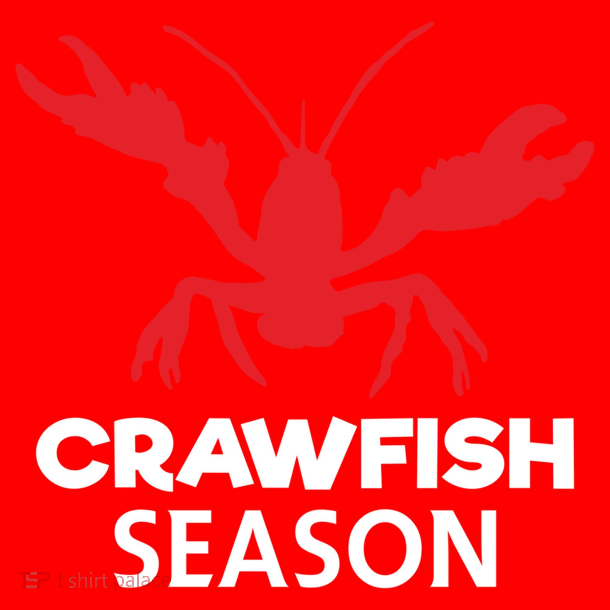 Crawdad Funny Crawfish Boil Season Crayfish Gift Santa Hat