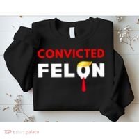 Convicted Felon Donald Trump Guilty Lock Him Up Trump Prison Sweatshirt thumb 2