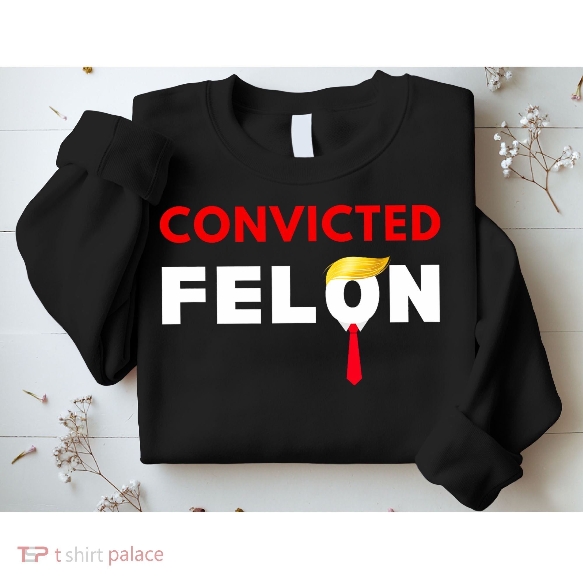 Convicted Felon Donald Trump Guilty Lock Him Up Trump Prison Sweatshirt
