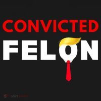 Convicted Felon Donald Trump Guilty Lock Him Up Trump Prison Women's Tank Top thumb 5