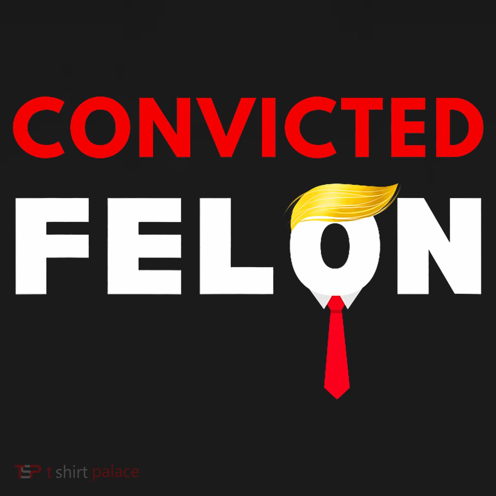 Convicted Felon Donald Trump Guilty Lock Him Up Trump Prison Women's Tank Top
