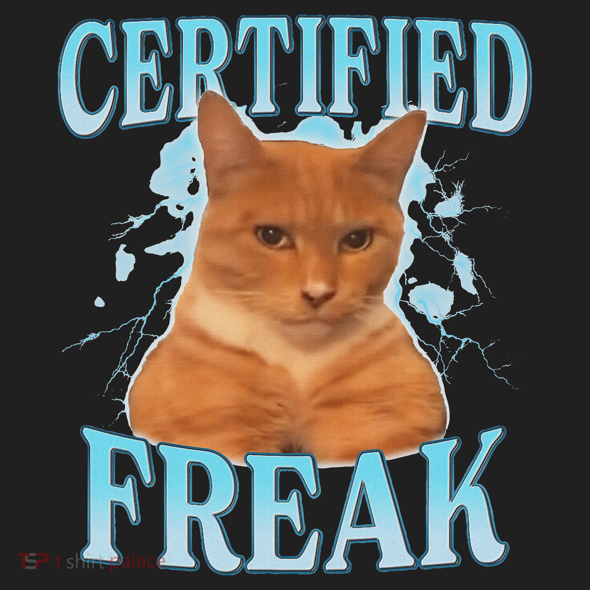 Certified Freak Eat Cement Cursed Cat Women's Sweatshirt