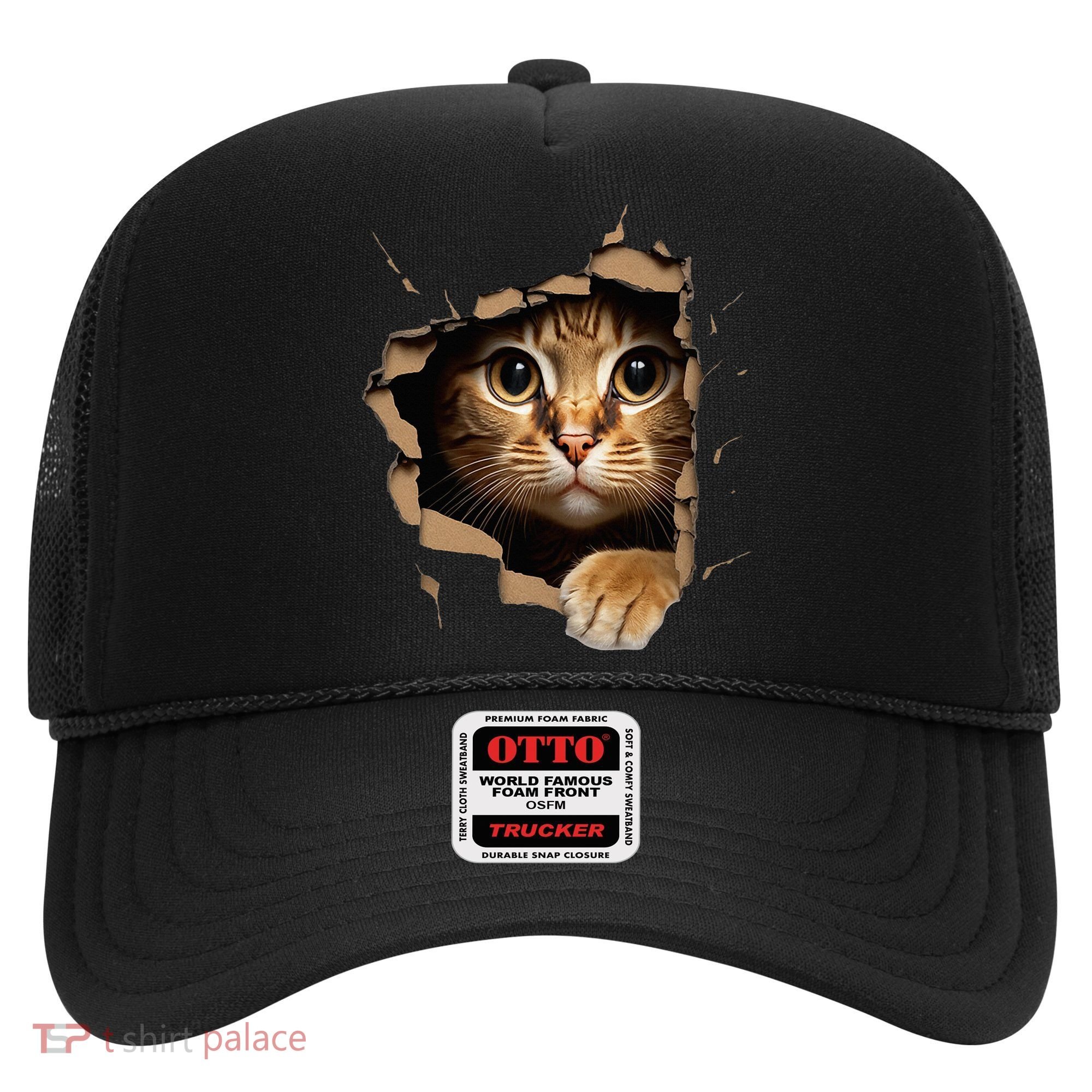 Cute kitten looks from torn fabric - Cats  Hat