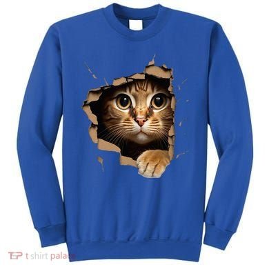 Cute kitten looks from torn fabric - Cats  Sweatshirt