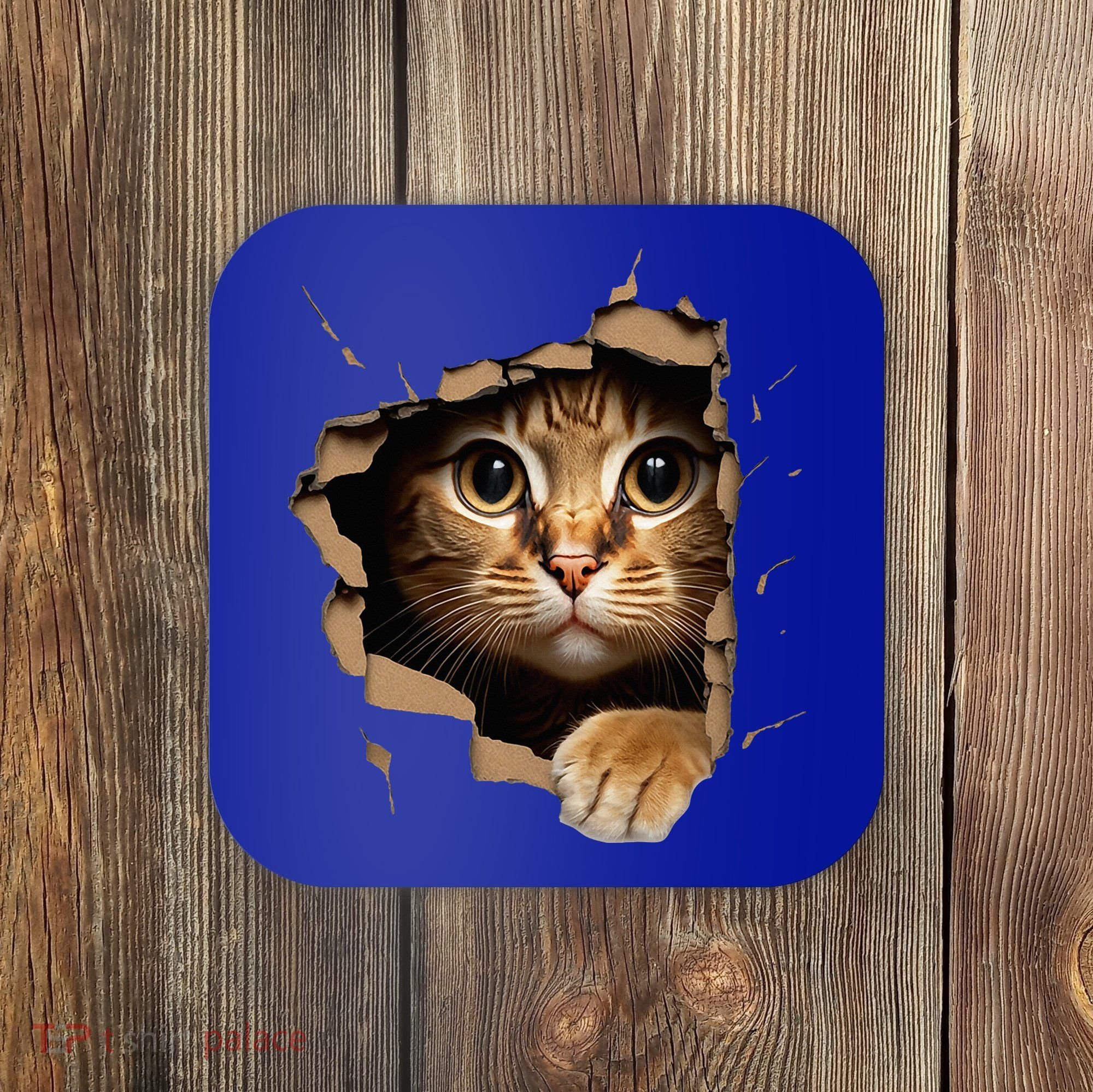 Cute kitten looks from torn fabric - Cats  Coaster