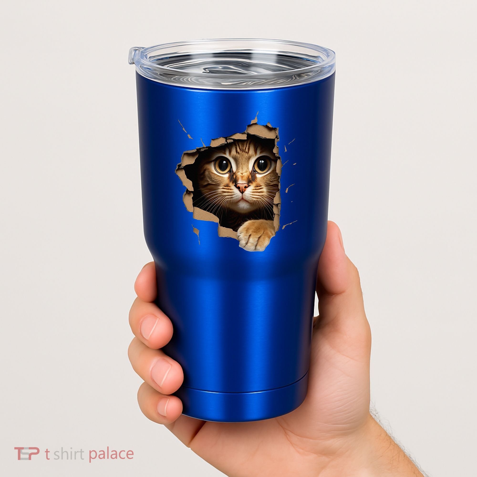 Cute kitten looks from torn fabric - Cats  Tumbler