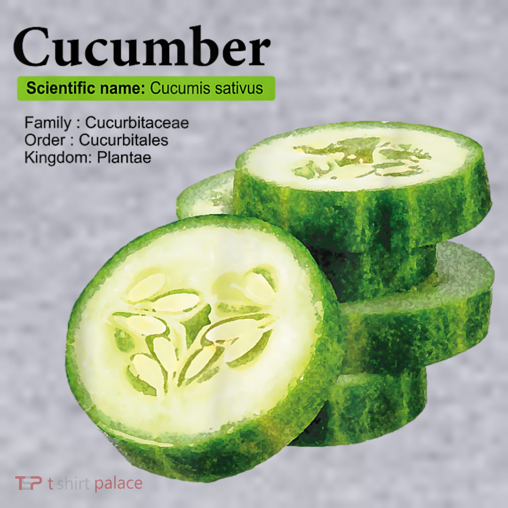 Cucumber Funny Graphic Vegetable Food Women's Sweatshirt