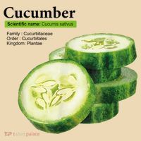 Cucumber Funny Graphic Vegetable Food Tote Bag thumb 4