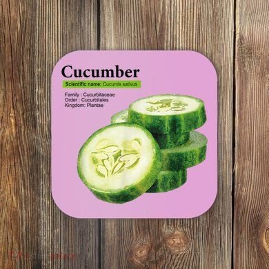 Cucumber Funny Graphic Vegetable Food Coaster