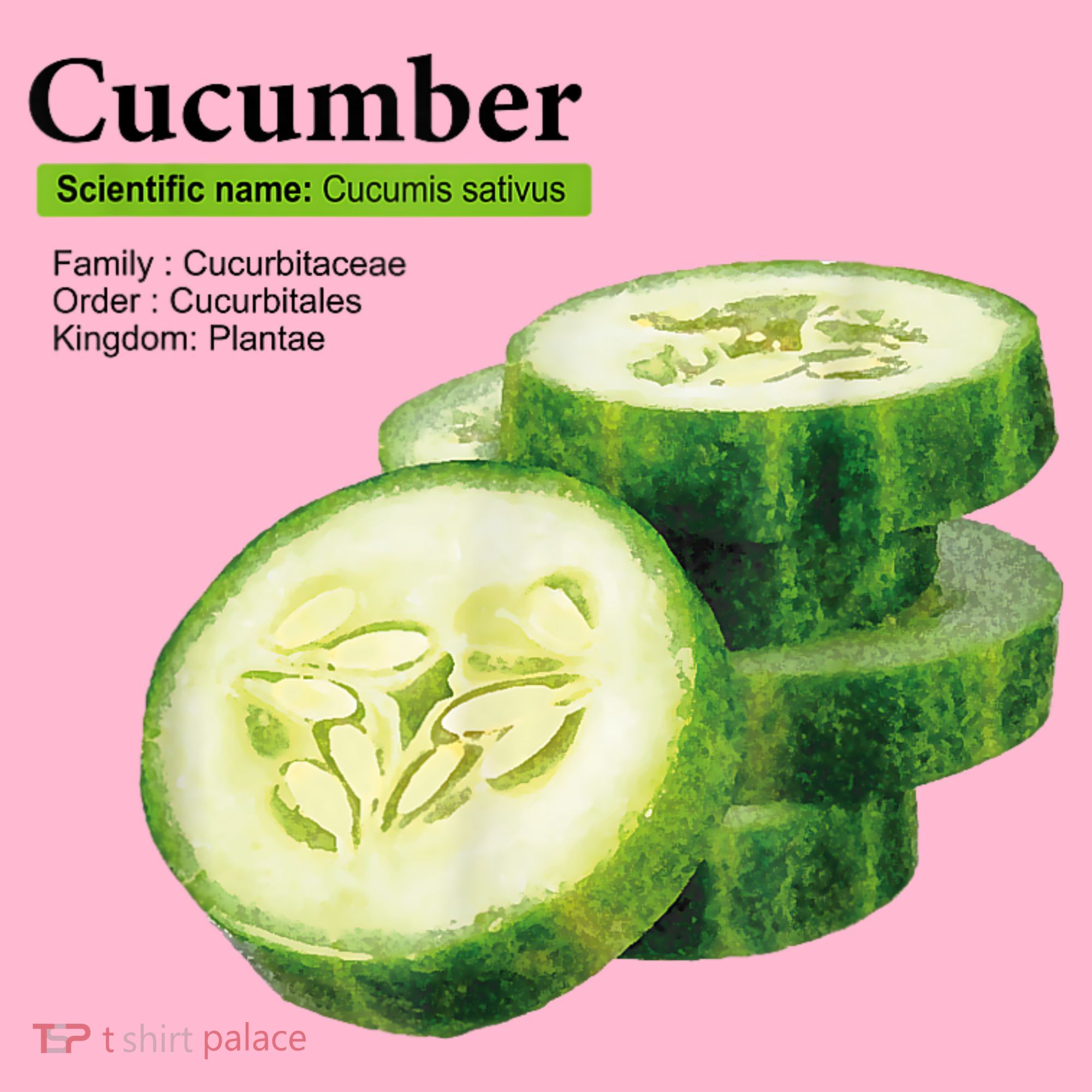 Cucumber Funny Graphic Vegetable Food Coaster