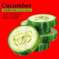 Cucumber Funny Graphic Vegetable Food Santa Hat thumb 1