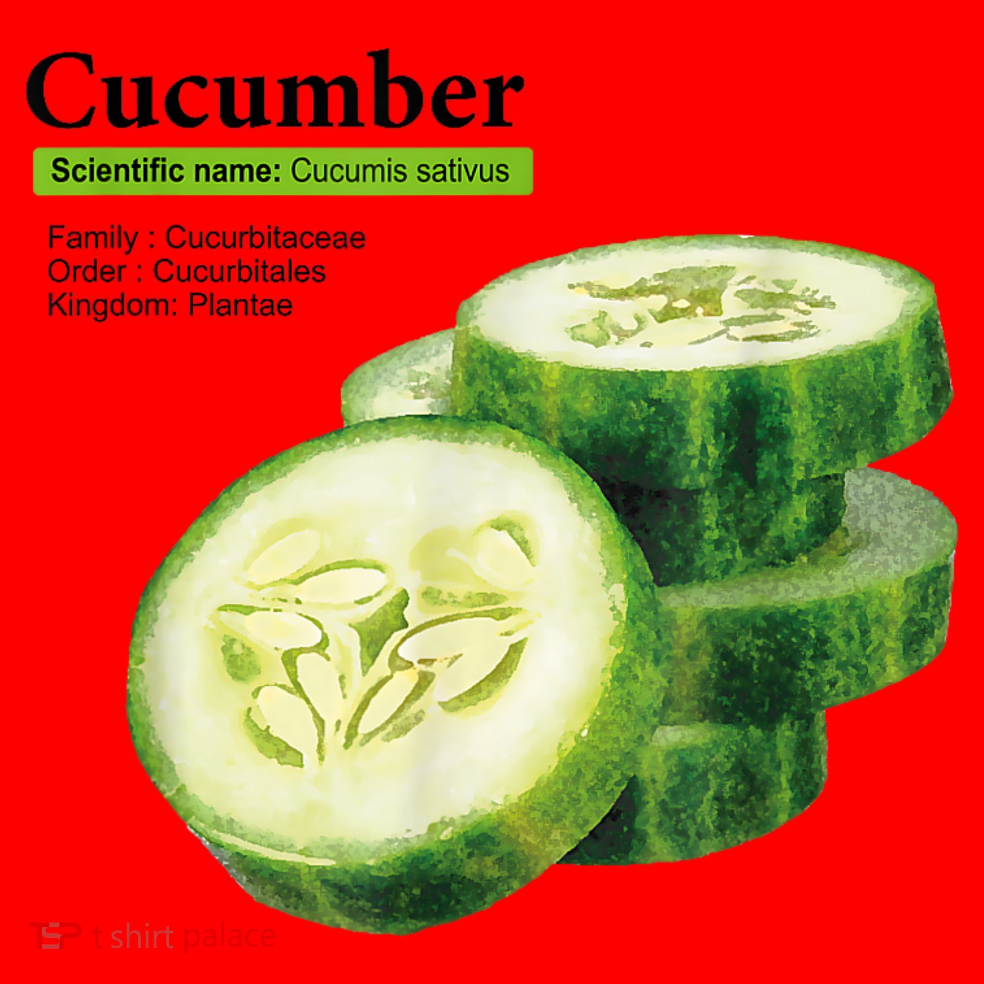 Cucumber Funny Graphic Vegetable Food Santa Hat