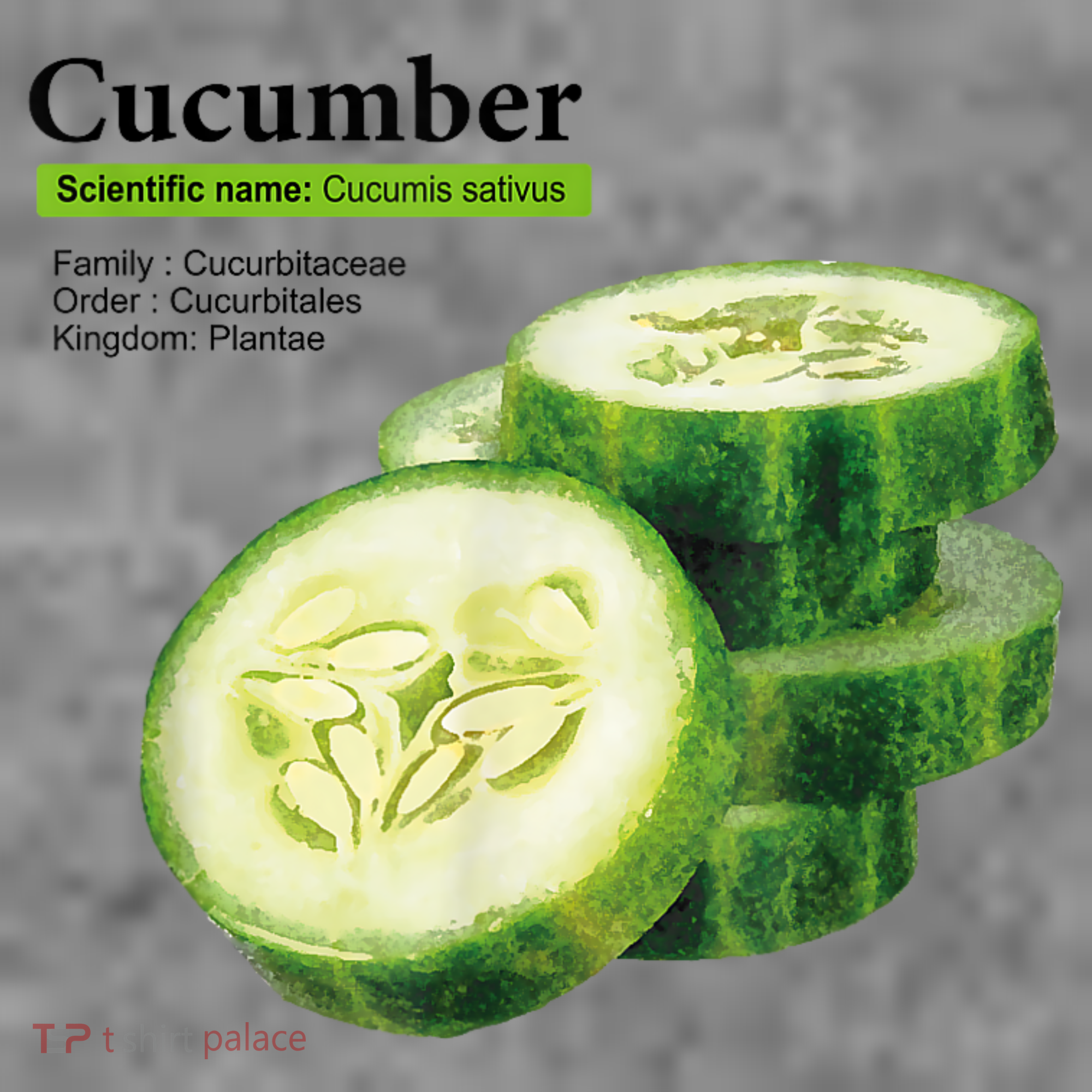 Cucumber Funny Graphic Vegetable Food Toddler Hoodie