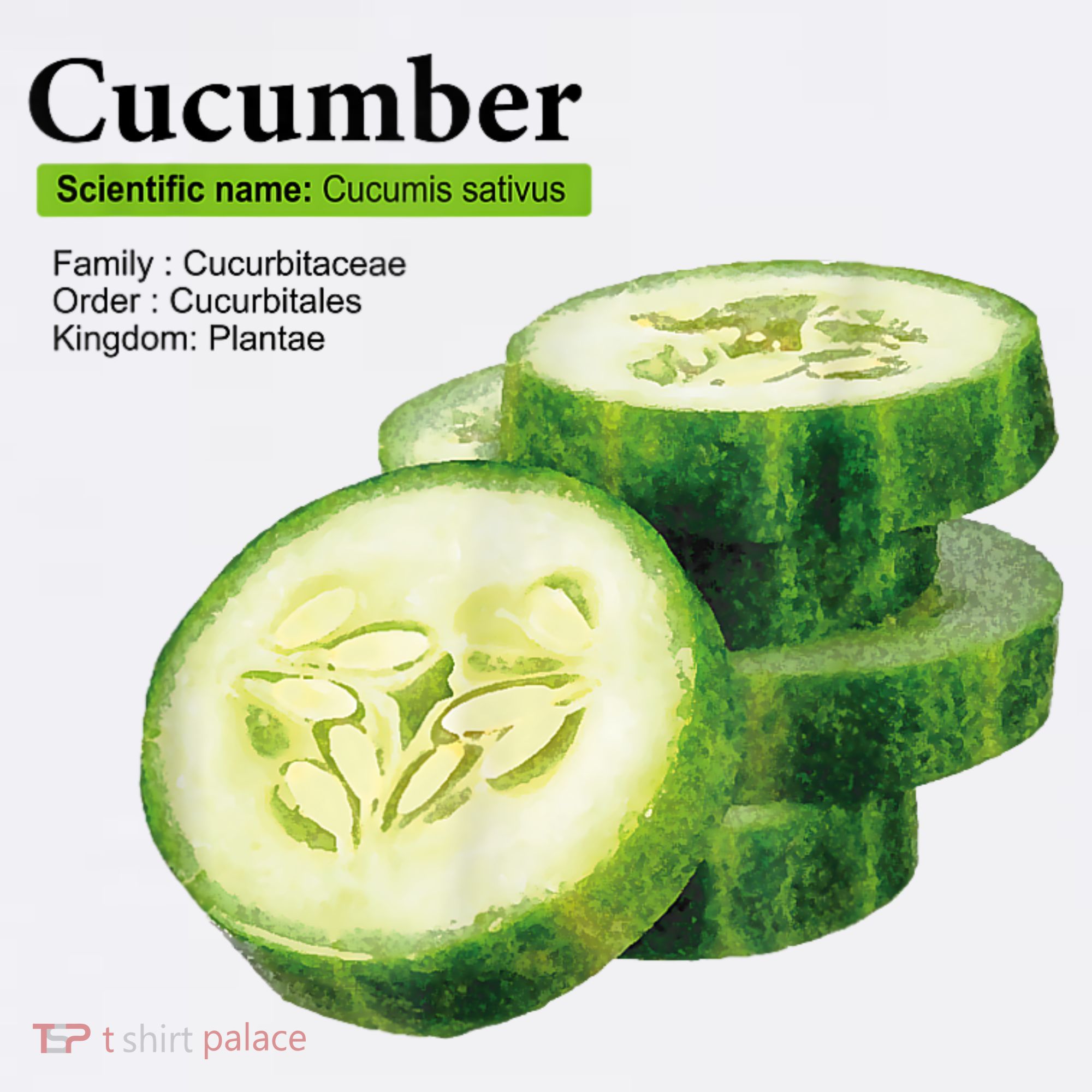 Cucumber Funny Graphic Vegetable Food Sweatshirt
