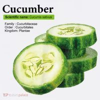 Cucumber Funny Graphic Vegetable Food Women's Tank Top thumb 5
