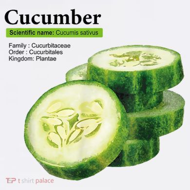 Cucumber Funny Graphic Vegetable Food Baby Bodysuit