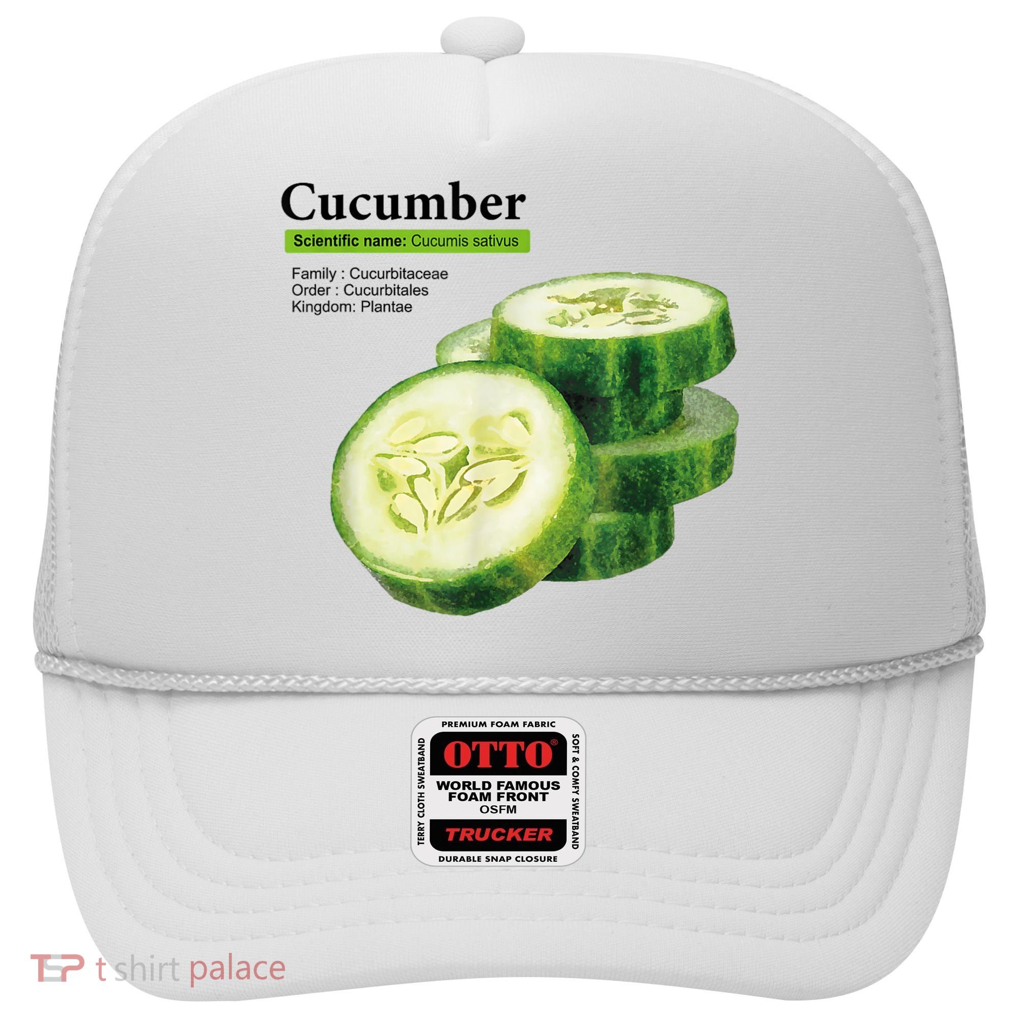 Cucumber Funny Graphic Vegetable Food Hat