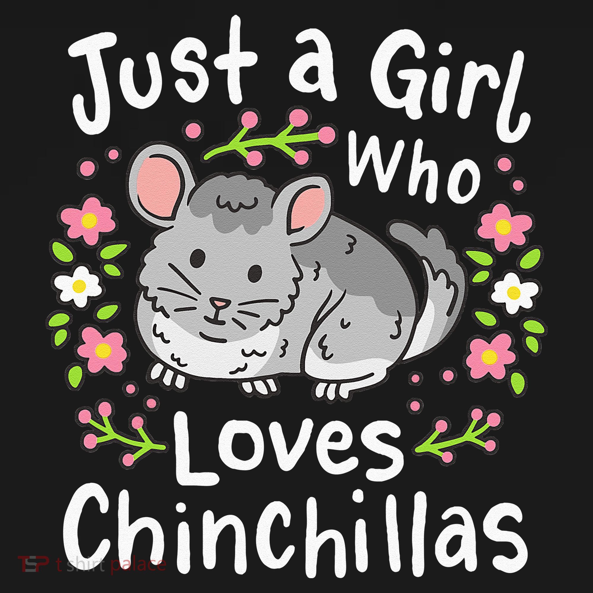 Chinchilla Funny Just A Girl Who Loves Chinchillas Women's Hoodie