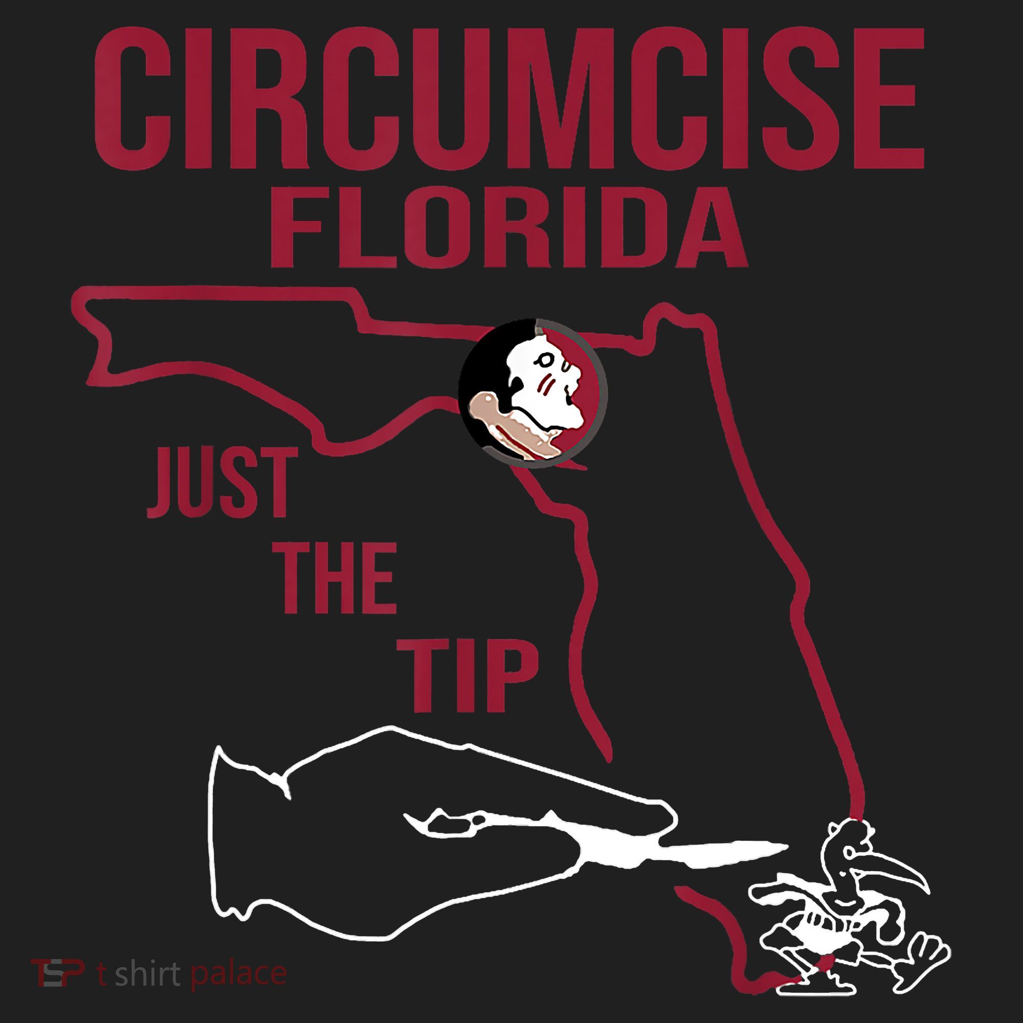 Circumcise Florida Just The Tip Beanie