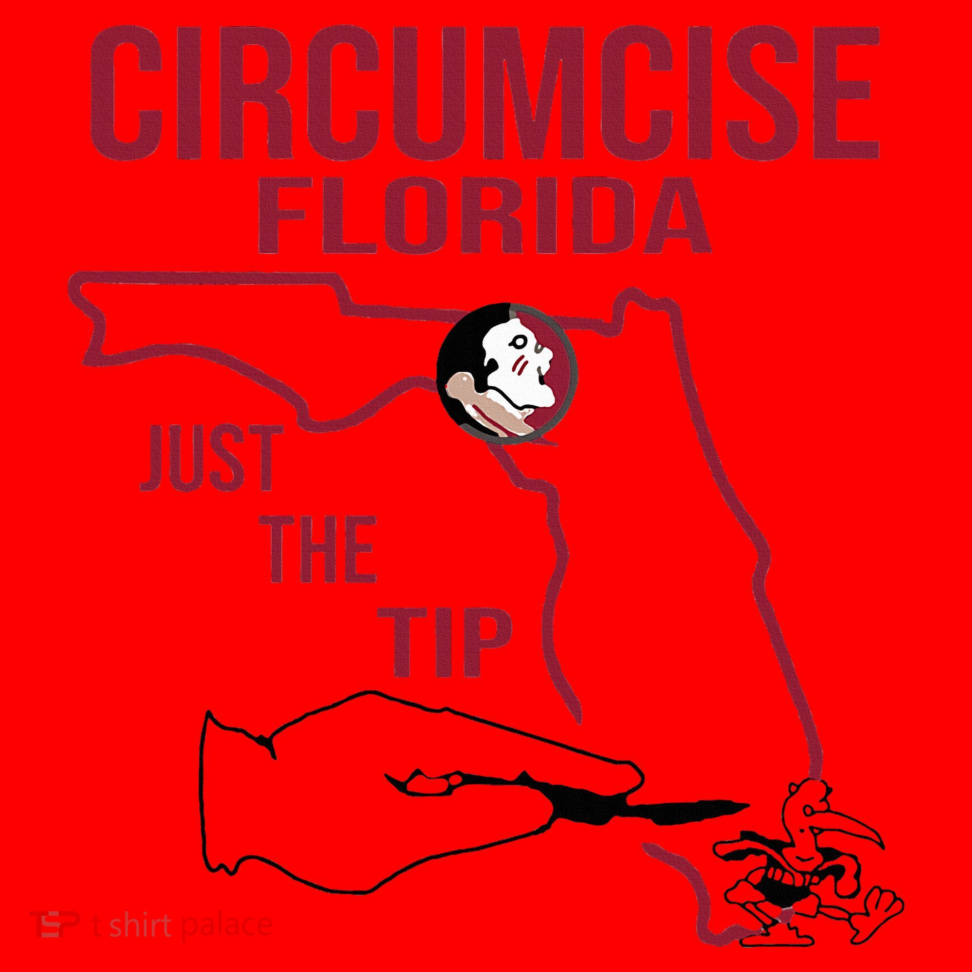 Circumcise Florida Just The Tip Santa Hat