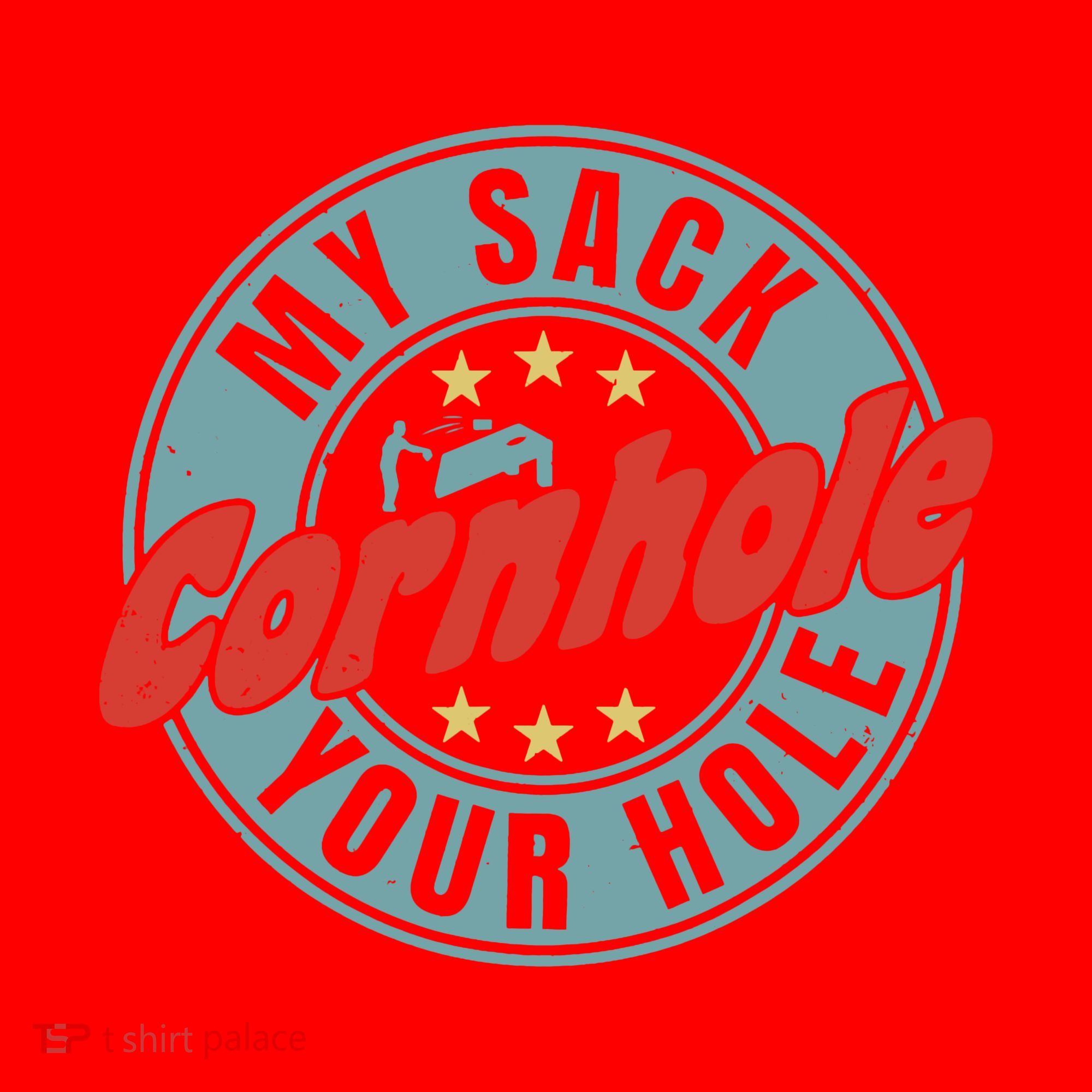 Cornhole Funny My Sack Your Hole Santa Hat