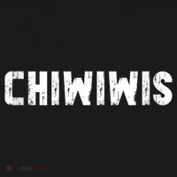Chiwiwis Funny Mma Fighter Quote For Fans And Athletes Hoodie thumb 2