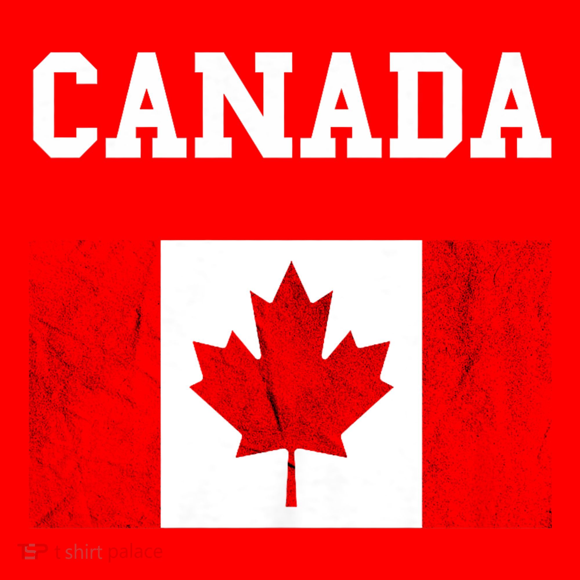 Canadian Flag Maple Leaf Canadian Flag Santa Hat