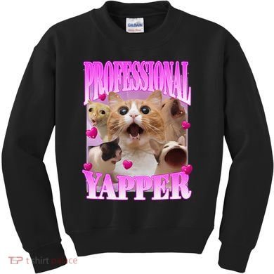 Cat Funny Oddly Specific Dank Meme Professional Yapper Kids Sweatshirt