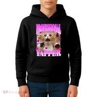 Cat Funny Oddly Specific Dank Meme Professional Yapper Kids Hoodie thumb 4
