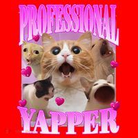 Cat Funny Oddly Specific Dank Meme Professional Yapper Santa Hat thumb 1