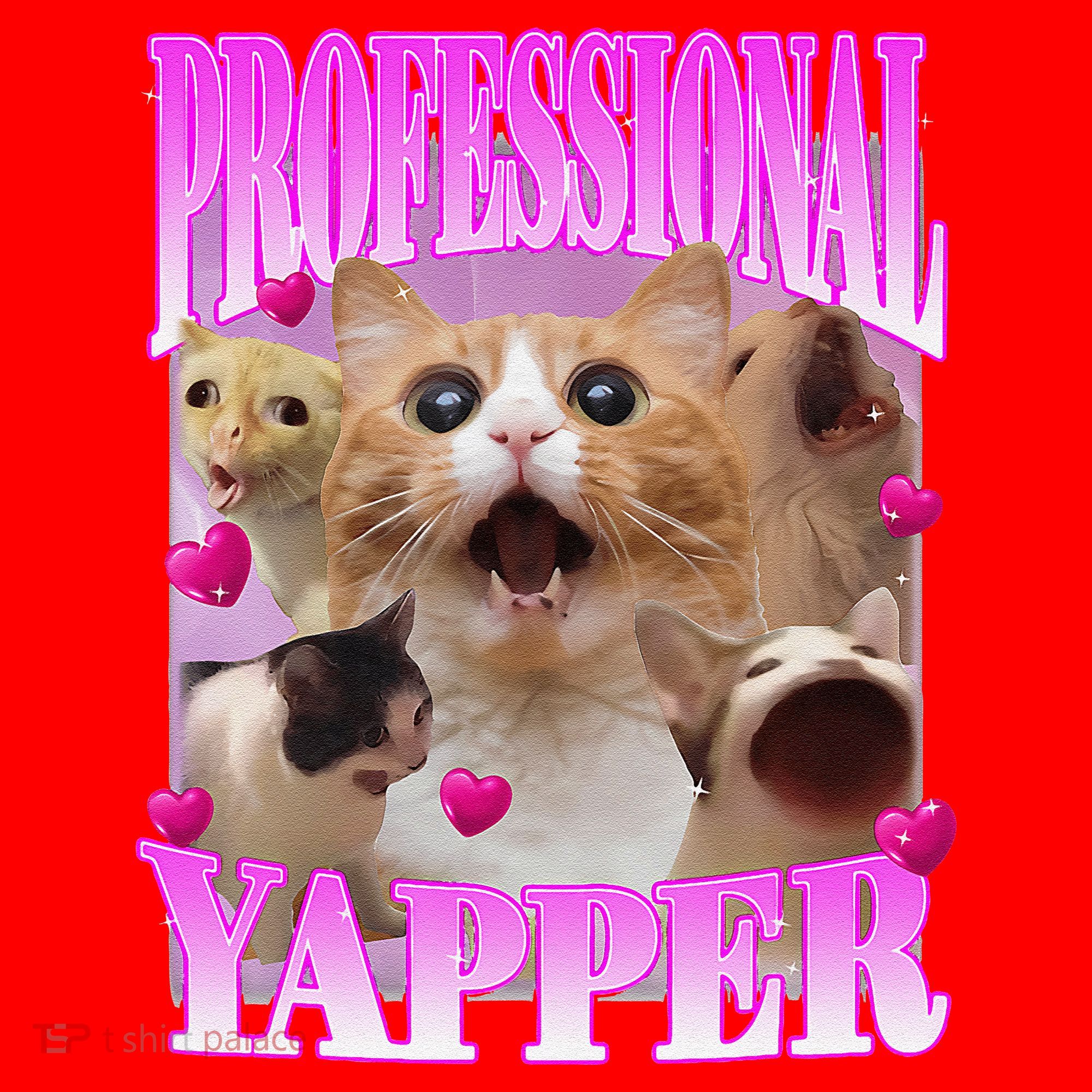 Cat Funny Oddly Specific Dank Meme Professional Yapper Santa Hat