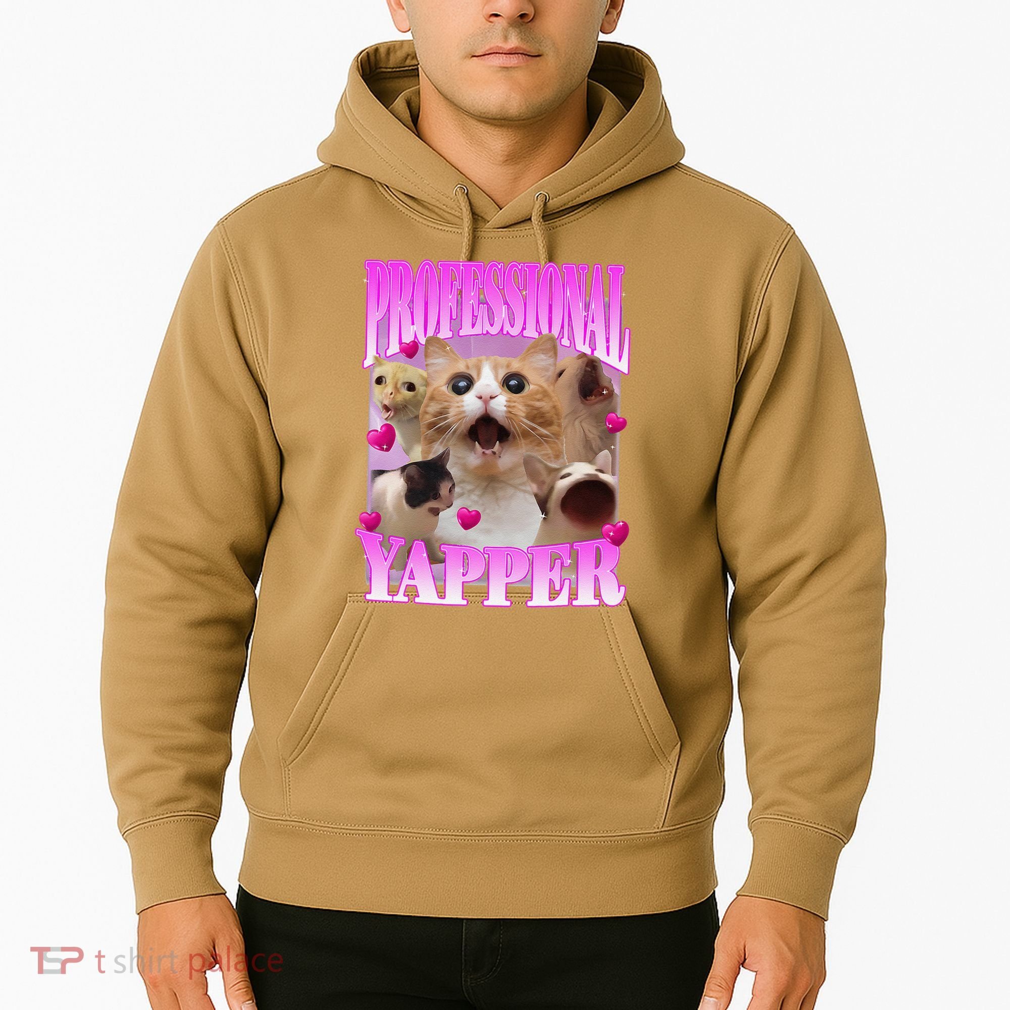 Cat Funny Oddly Specific Dank Meme Professional Yapper Hoodie