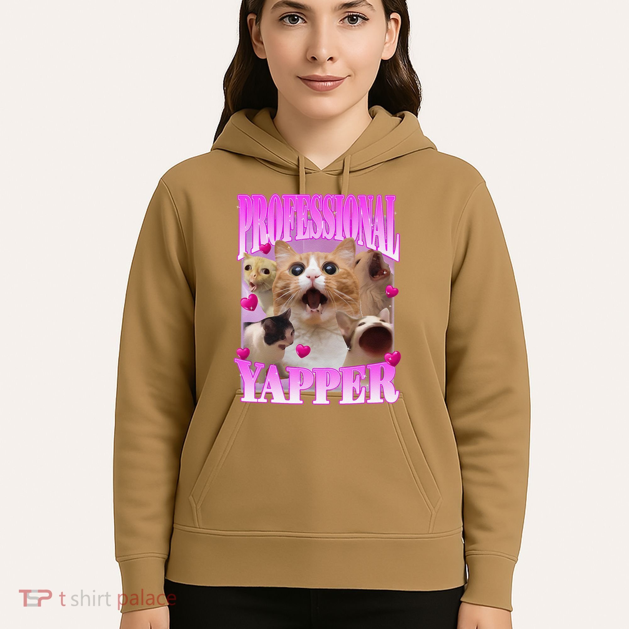 Cat Funny Oddly Specific Dank Meme Professional Yapper Hoodie