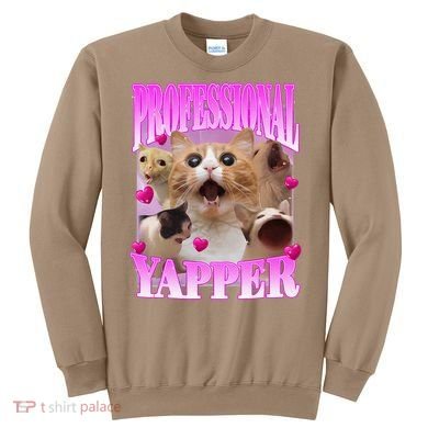 Cat Funny Oddly Specific Dank Meme Professional Yapper Sweatshirt
