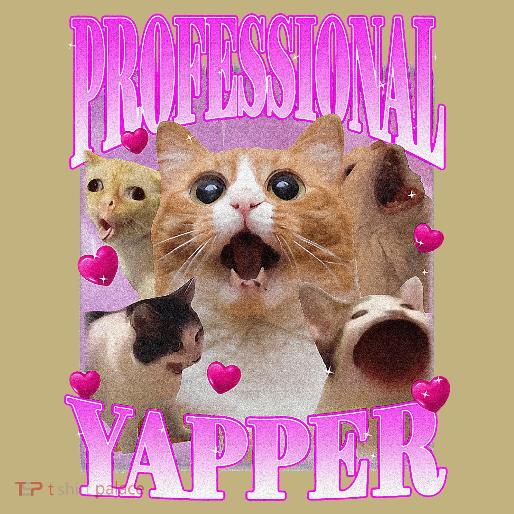 Cat Funny Oddly Specific Dank Meme Professional Yapper Sweatshirt