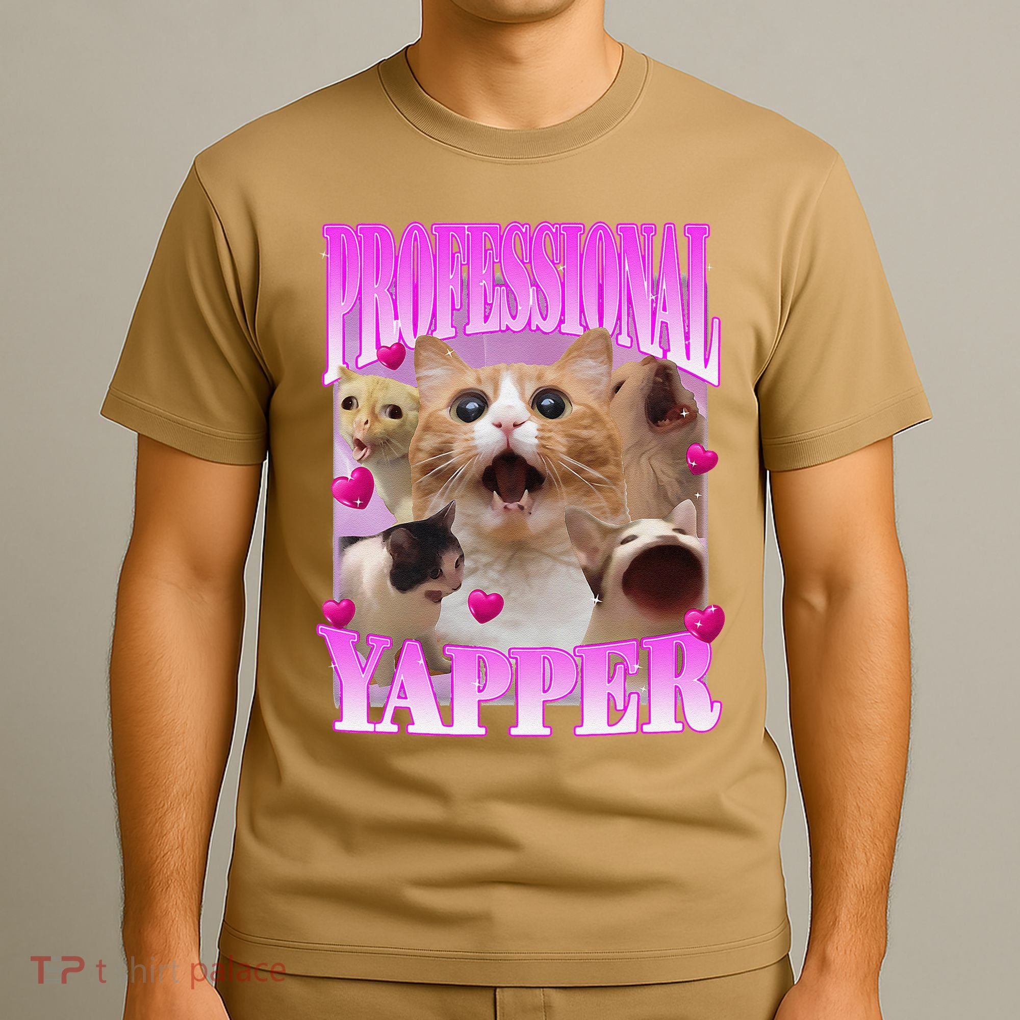 Cat Funny Oddly Specific Dank Meme Professional Yapper T-Shirt