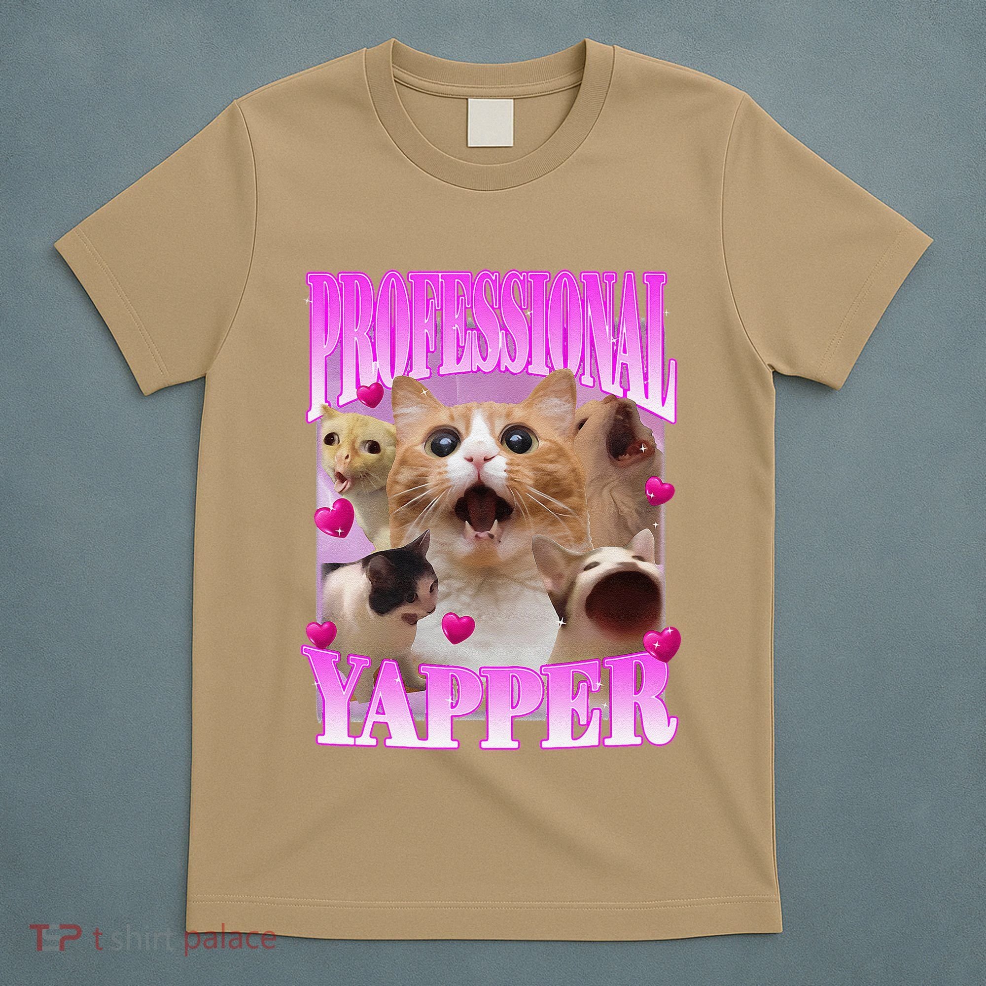 Cat Funny Oddly Specific Dank Meme Professional Yapper T-Shirt