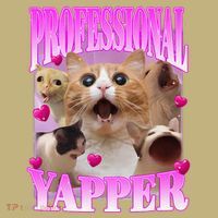 Cat Funny Oddly Specific Dank Meme Professional Yapper T-Shirt thumb 7