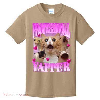 Cat Funny Oddly Specific Dank Meme Professional Yapper Kids T-Shirt