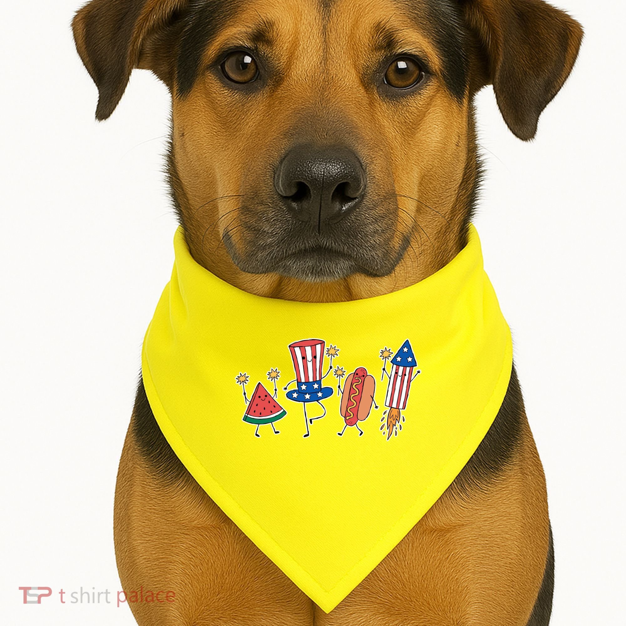 Cute Fourth Of July Summer Fun Group USA-Made Doggie Bandana