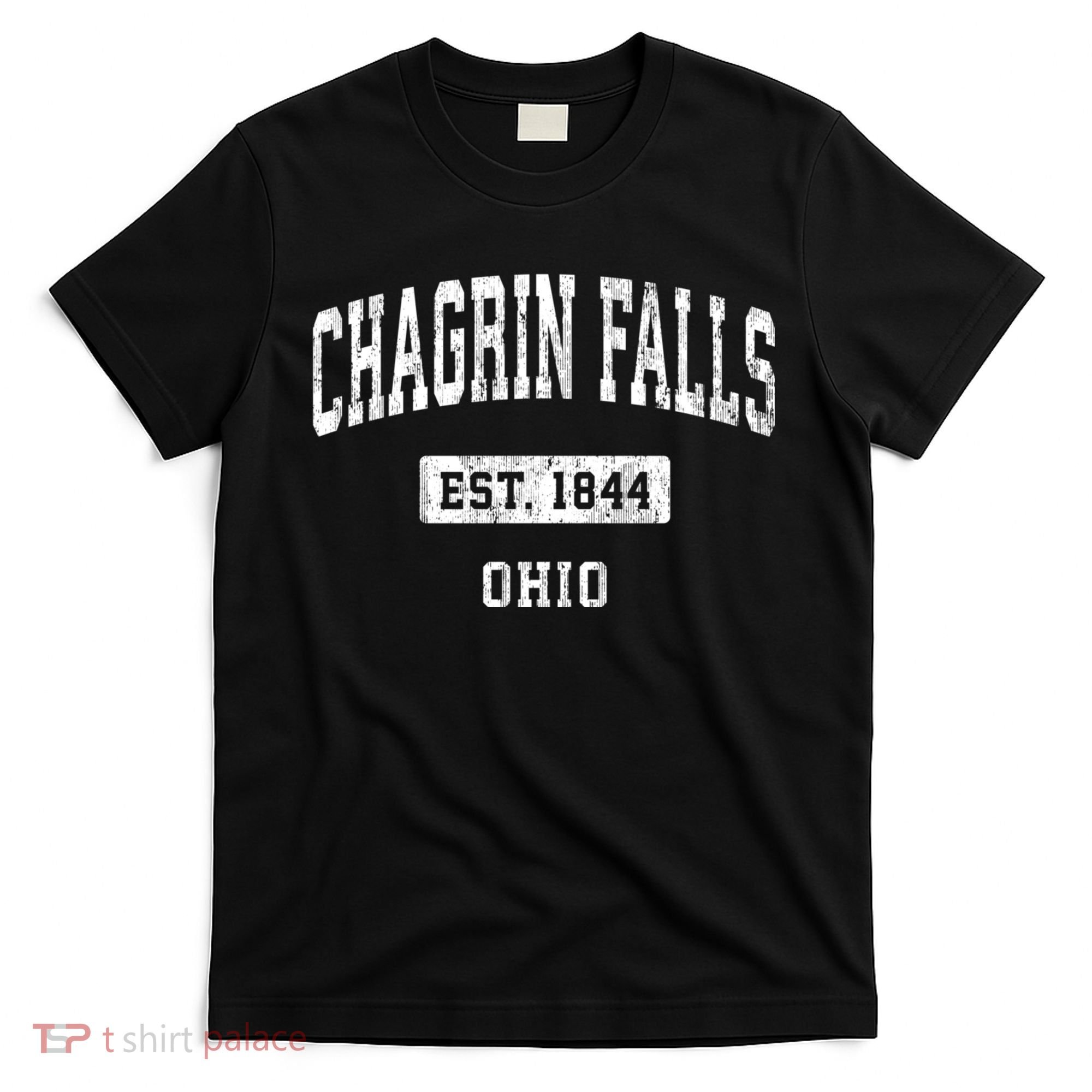 Chagrin Falls Ohio Oh Vintage Sports Established T-Shirt